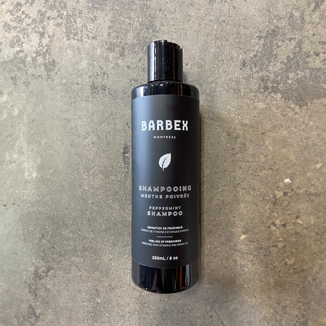 BRBX Shampooing Menthe poivrée Homme 250 mL – Anti-Pellicules, Rafraîchissant & Hydratant, Vitamine E & Huile d’Argan, cheveux sensibles