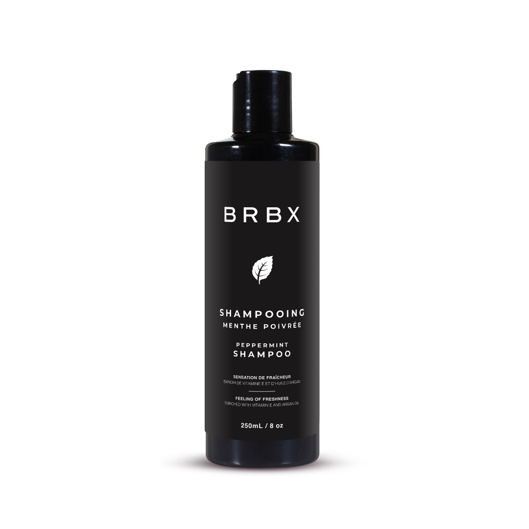 BRBX Shampooing Menthe poivrée Homme 250 mL – Anti-Pellicules, Rafraîchissant & Hydratant, Vitamine E & Huile d’Argan, cheveux sensibles
