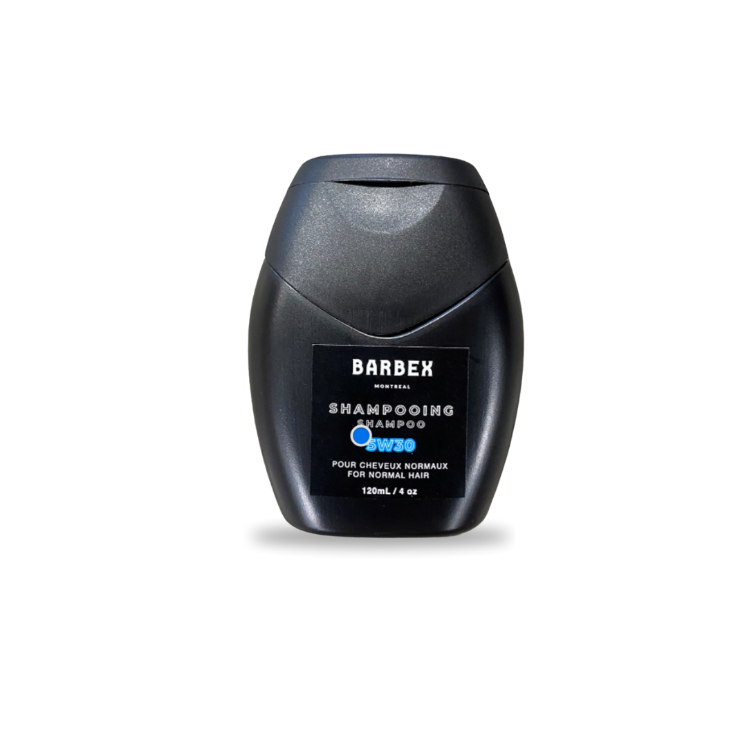 BRBX 5W30 Daily Shampoo for Men – Natural Moisture, Gentle Cleansing &amp; Subtle Masculine Scent – ​​All Hair Types – Lightweight Non-Drying Formula – 120ml / 4oz